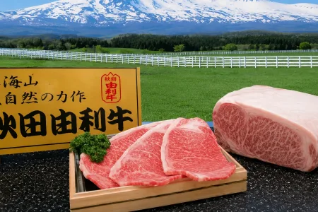 秋田由利牛|鳥海山麓孕育血統凝聚的細緻霜降